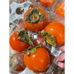 【新品】西班牙空运流心小柿子 450g/盒